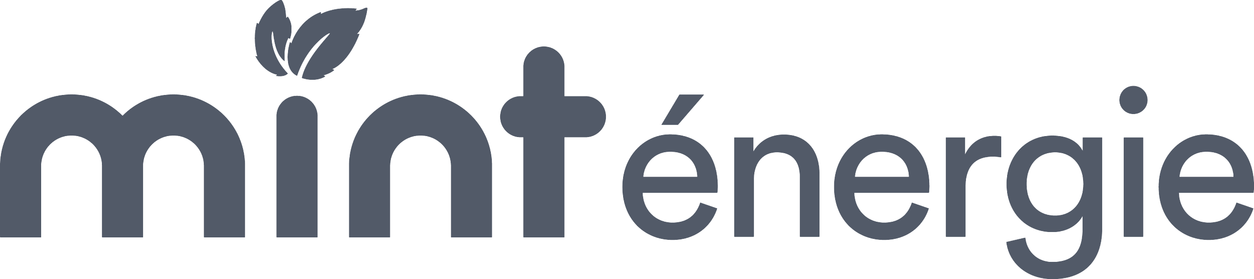 Mint Énergie