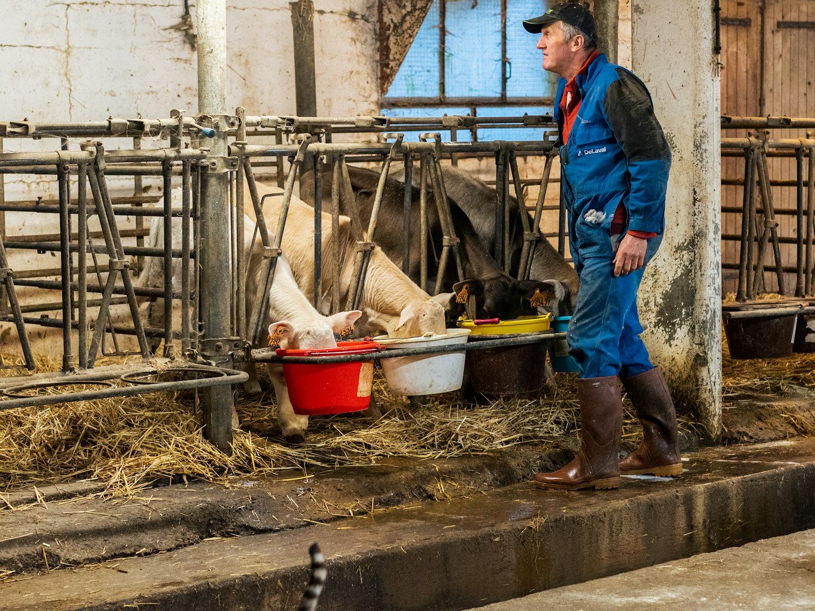 Factures d’électricité d’une exploitation agricole posées sur un bureau, avec un ordinateur