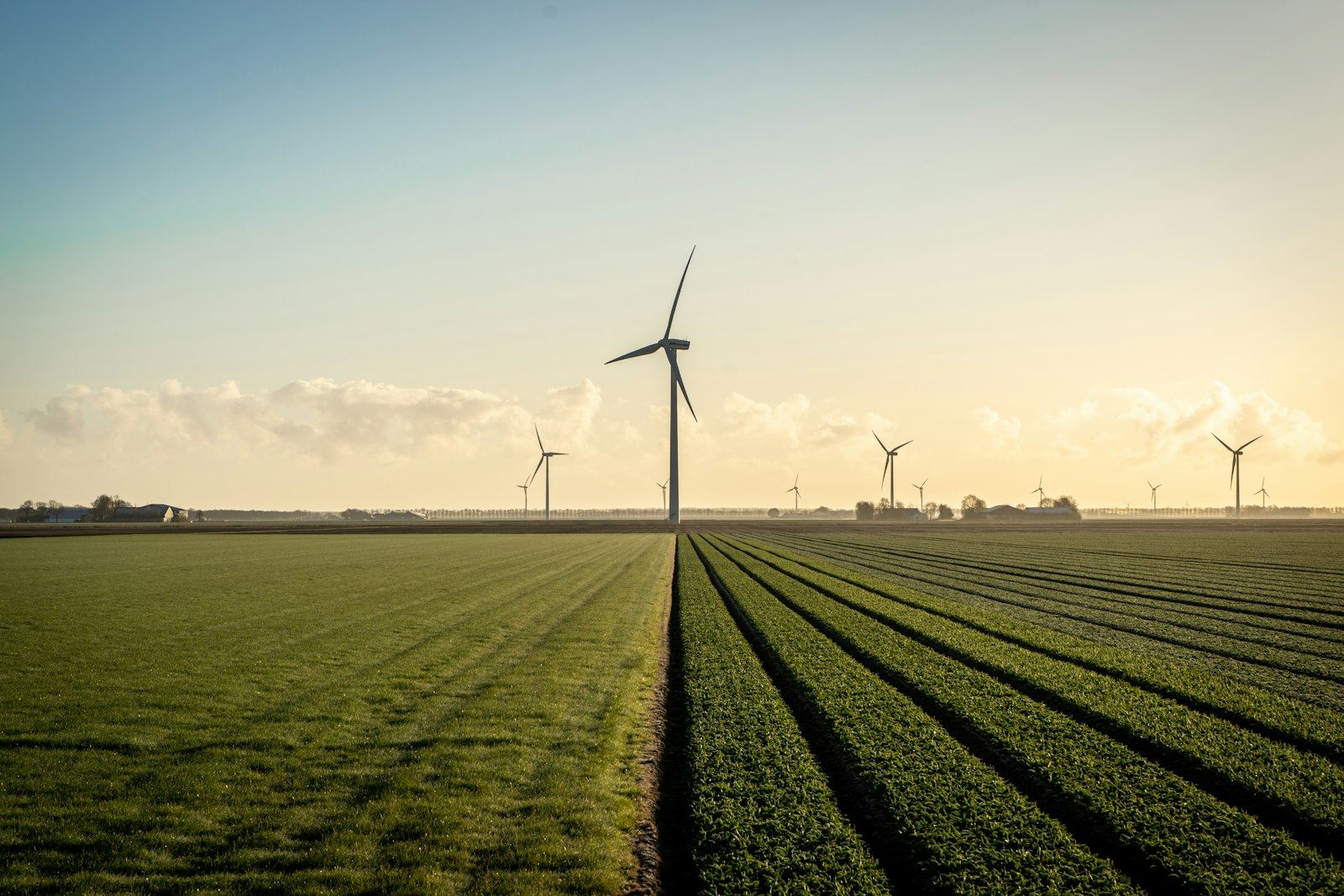 Éoliennes dans un paysage rural