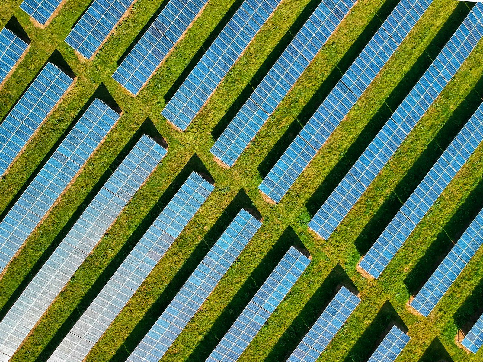 Hangar agricole équipé de panneaux solaires